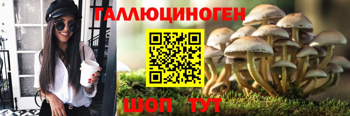 Псилоцибиновые грибы прущие грибы Конаково